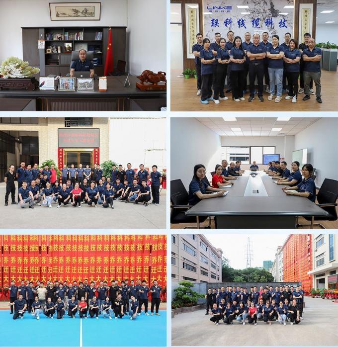 Professional Factory Customized 120º C XLPE Insulated Wire for Cars