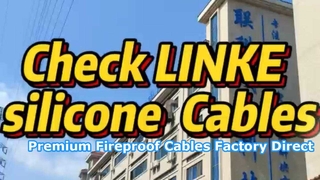 Dongguan Lianke Cable Tech: مقدمة منتج كابل السيليكون الاحترافي